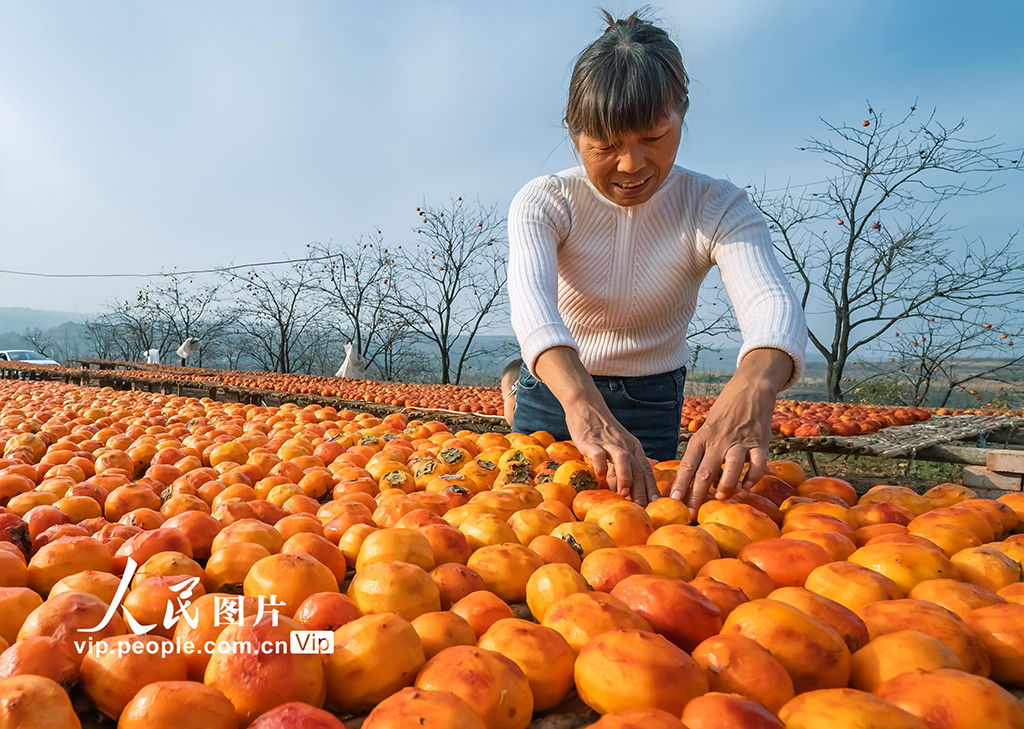 ������ꖣ��������æ